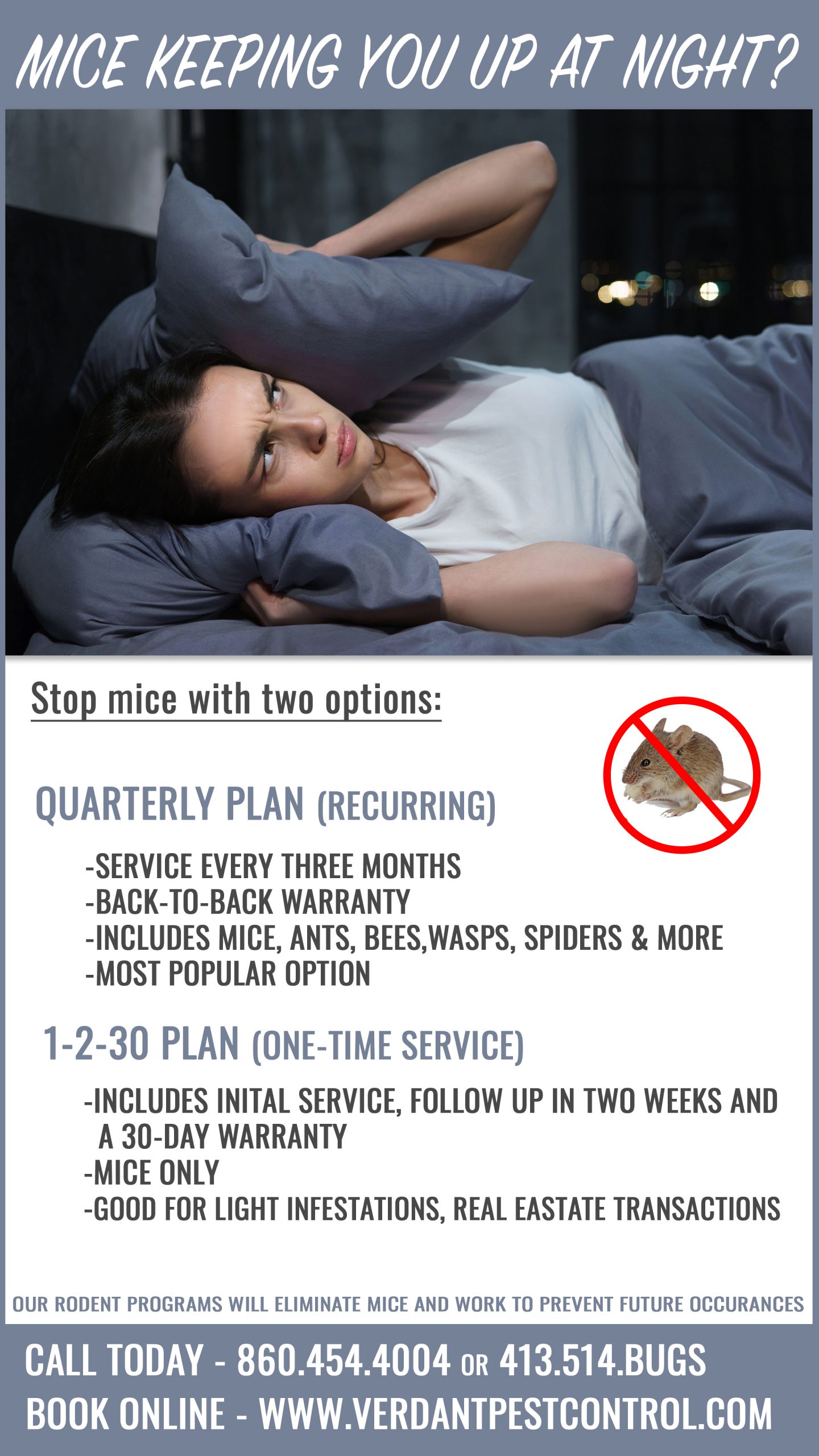 Mice keeping you awake at night? Verdant Pest Control