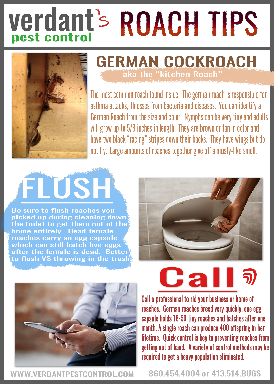german cockroach tips
