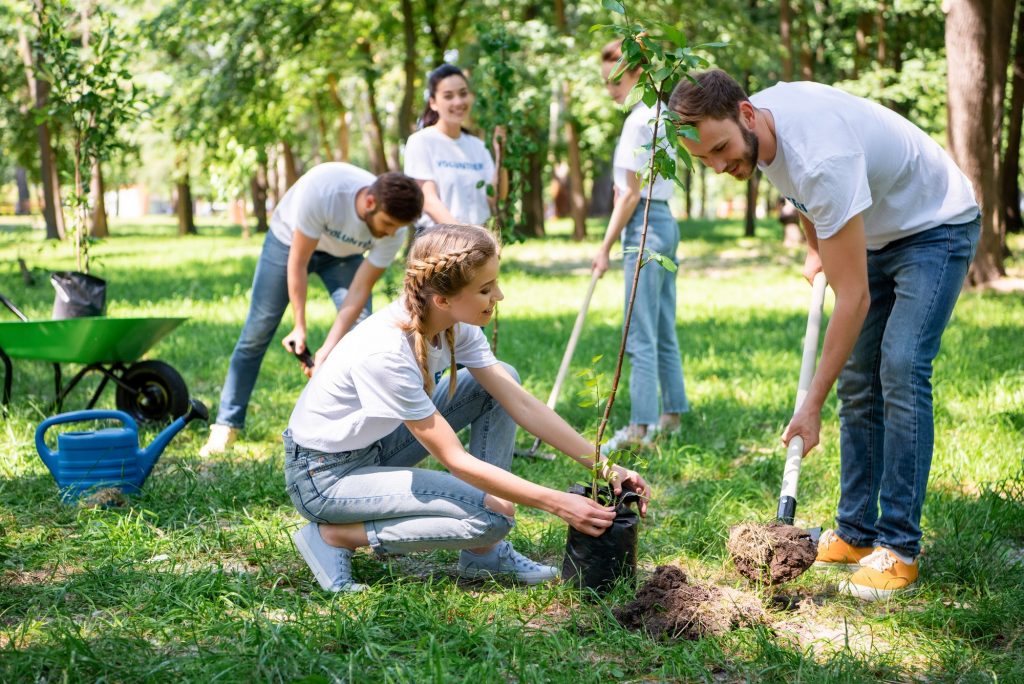 volunteers planting tree in green park together