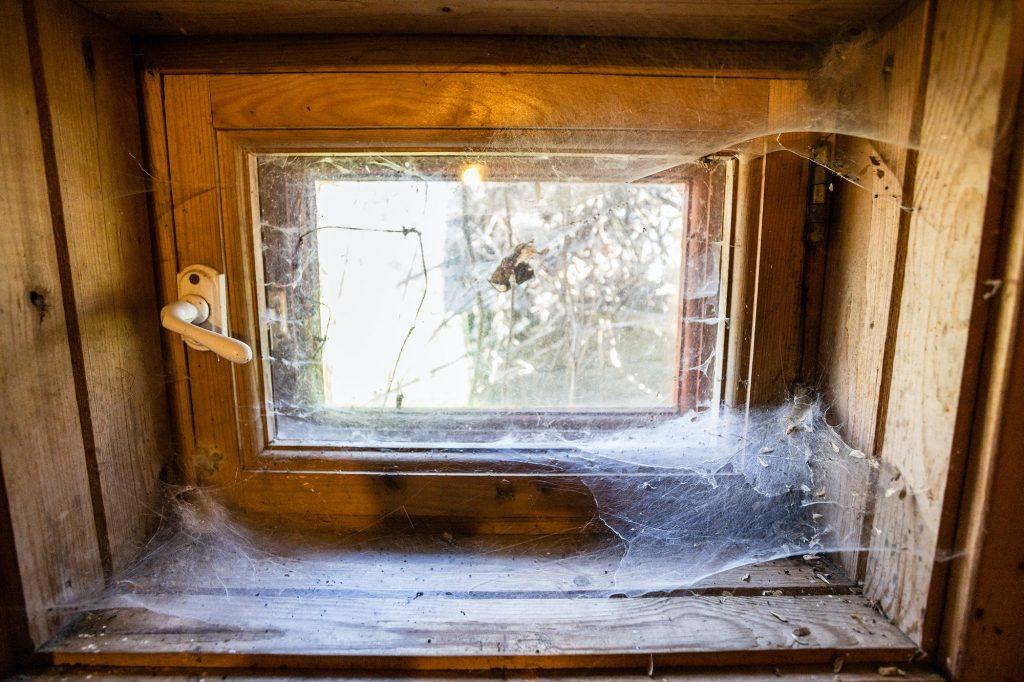 closed wooden window in rural house with cobwebs