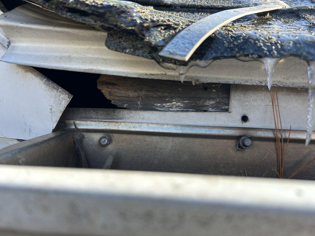 Squirrel entry point