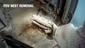 POV Wasp Nest Removal