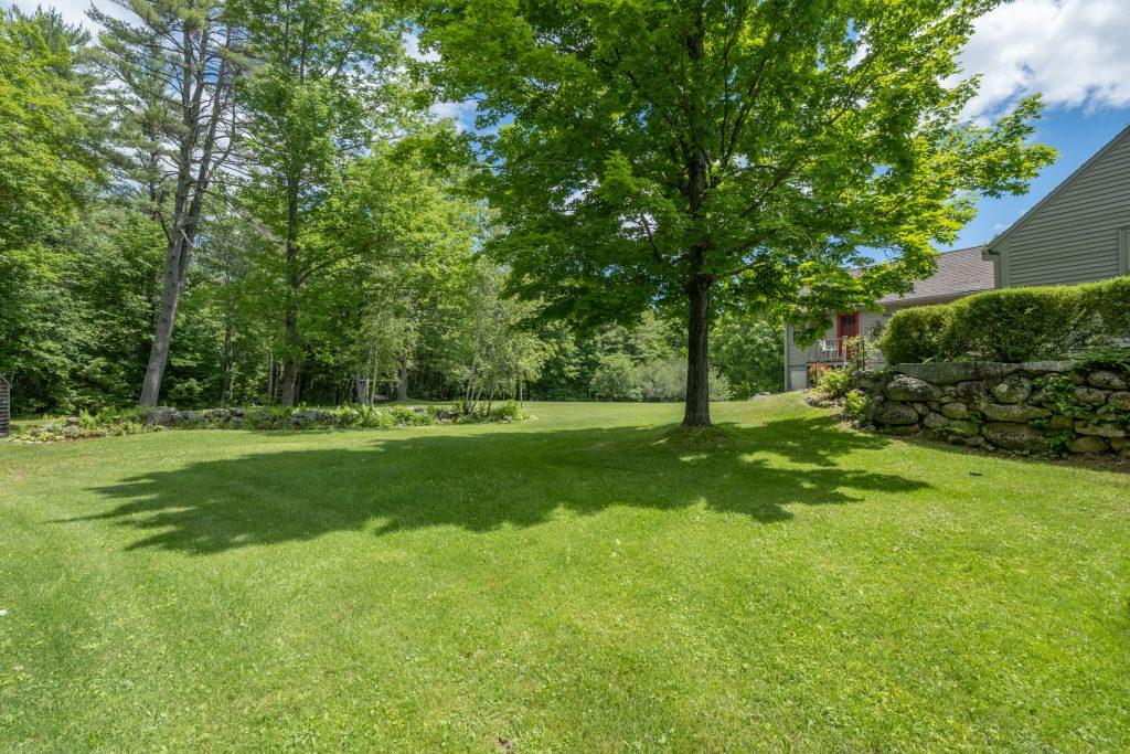 Lush green verdant lawn